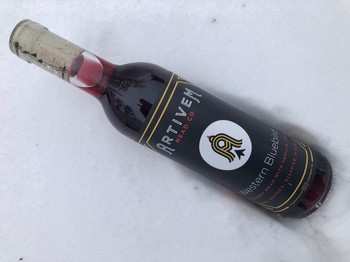 Western Blue Bird Mead (Blueberry Pie)
