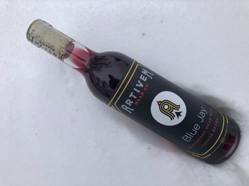 Blue Jay (Blueberry, Coffee)