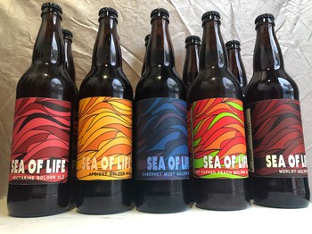 Sea of Life Mixed Culture Golden Ale- Mixed 5 Pack