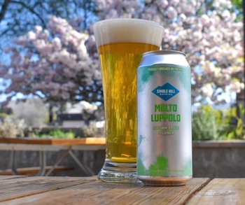 Molto Luppolo Italian Pilsner