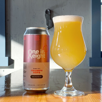 One in Eight Triumph IPA