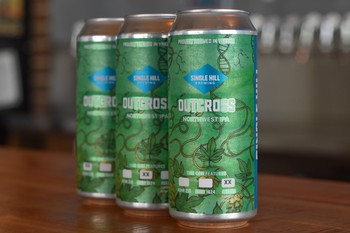 Outcross ADHA Experimentals- 3 Pack