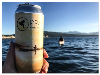 Propolis Pale Ale (PPA) SINGLE