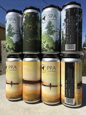 Spruce Pale Ale (SPA)