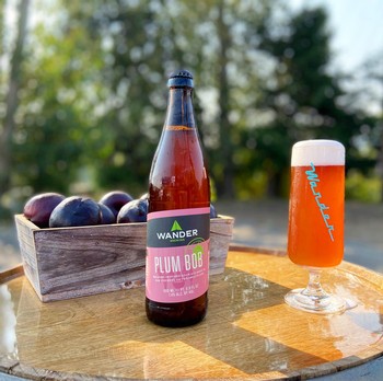 Plum Bob Oak-Aged American Sour