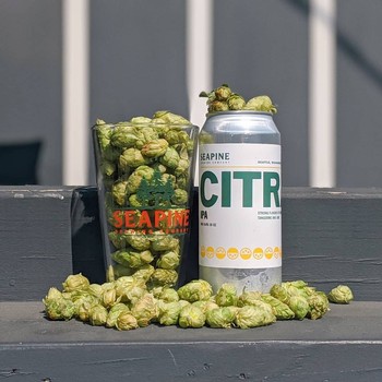 Citra IPA SINGLE
