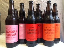 Flanders Forever- Mixed 3 Pack