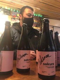 Sakura Cherry Blossom Saison 2023